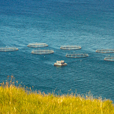 A fish farm in open sea