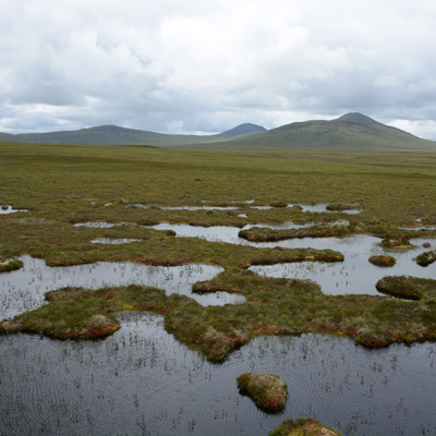 Flow Country Bog Land