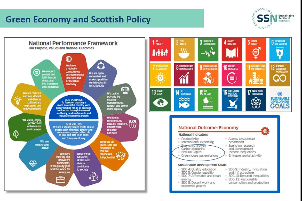 Screenshot from webinar on understanding the green recovery